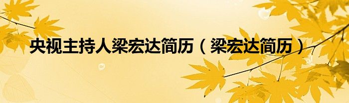 央视主持人梁宏达简历（梁宏达简历）