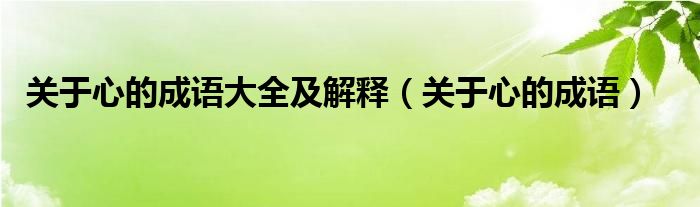关于心的成语大全及解释（关于心的成语）