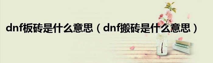 dnf板砖是什么意思（dnf搬砖是什么意思）