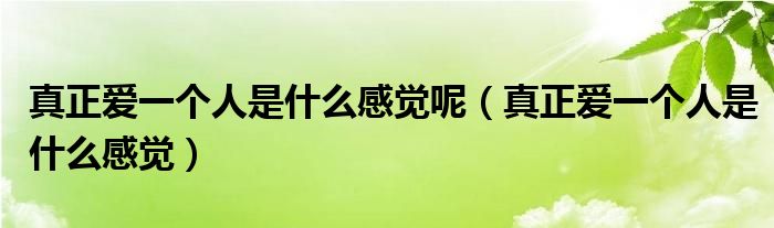真正爱一个人是什么感觉呢（真正爱一个人是什么感觉）