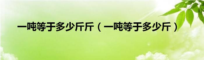 一吨等于多少斤斤（一吨等于多少斤）