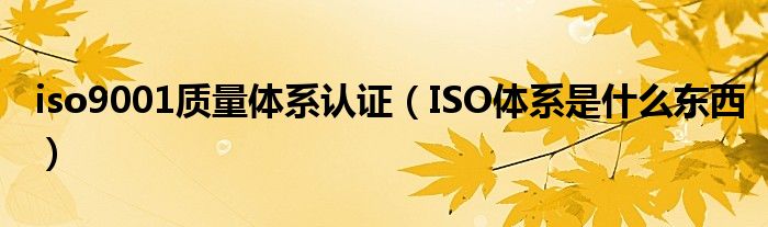 iso9001质量体系认证（ISO体系是什么东西）