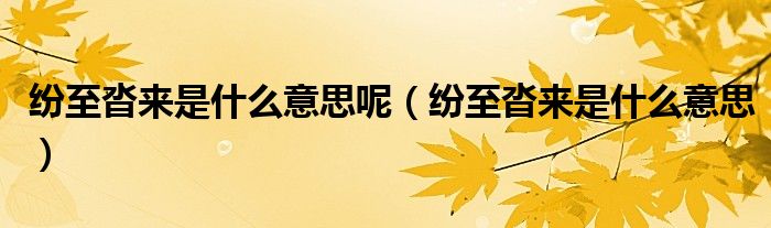 纷至沓来是什么意思呢（纷至沓来是什么意思）