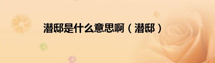 潜邸是什么意思啊（潜邸）