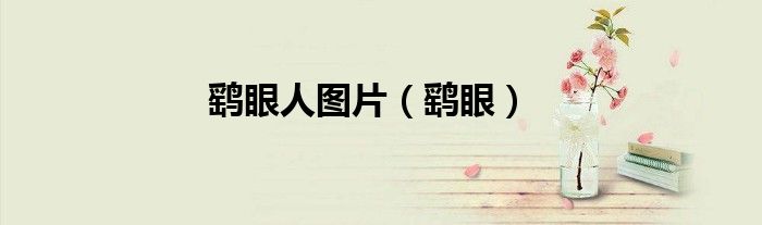 鹞眼人图片（鹞眼）