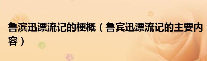 鲁滨迅漂流记的梗概（鲁宾迅漂流记的主要内容）
