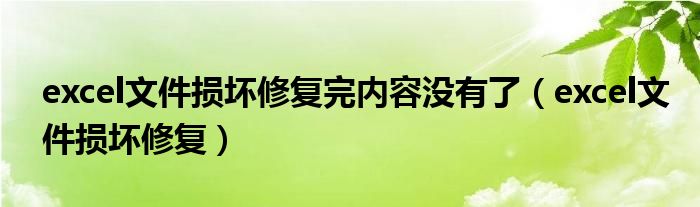excel文件损坏修复完内容没有了（excel文件损坏修复）