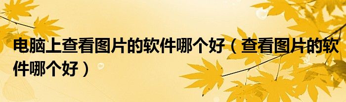 电脑上查看图片的软件哪个好（查看图片的软件哪个好）