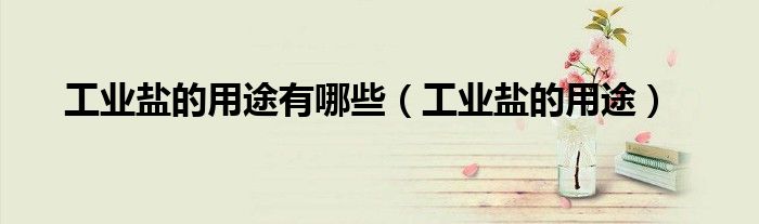 工业盐的用途有哪些（工业盐的用途）