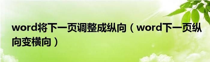 word将下一页调整成纵向（word下一页纵向变横向）