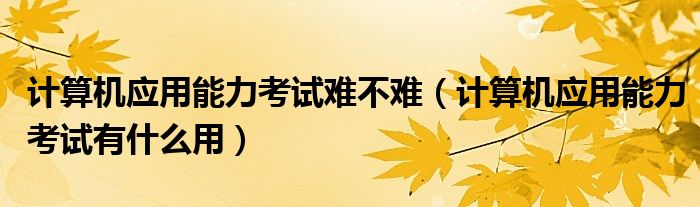 计算机应用能力考试难不难（计算机应用能力考试有什么用）