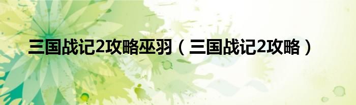 三国战记2攻略巫羽（三国战记2攻略）
