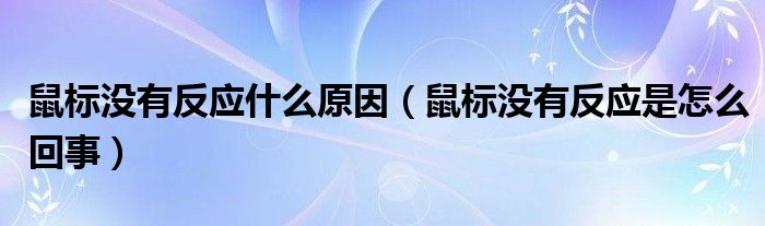 鼠标没有反应什么原因（鼠标没有反应是怎么回事）