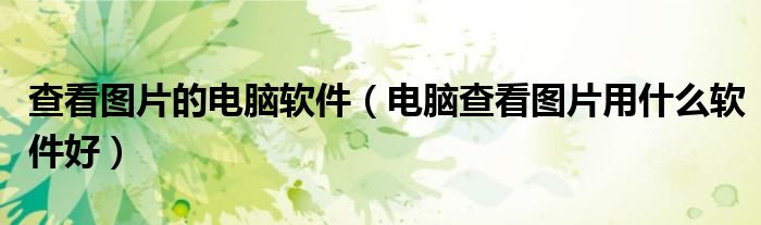 查看图片的电脑软件（电脑查看图片用什么软件好）