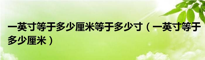 一英寸等于多少厘米等于多少寸（一英寸等于多少厘米）