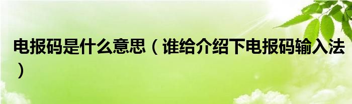 电报码是什么意思（谁给介绍下电报码输入法）