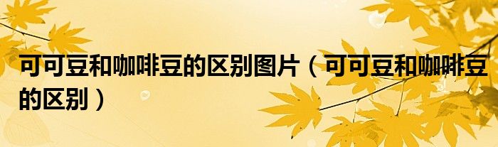 可可豆和咖啡豆的区别图片（可可豆和咖啡豆的区别）