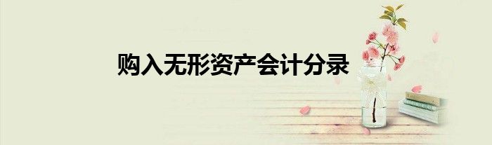 购入无形资产会计分录