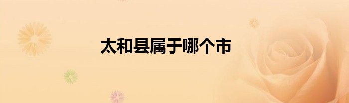 太和县属于哪个市