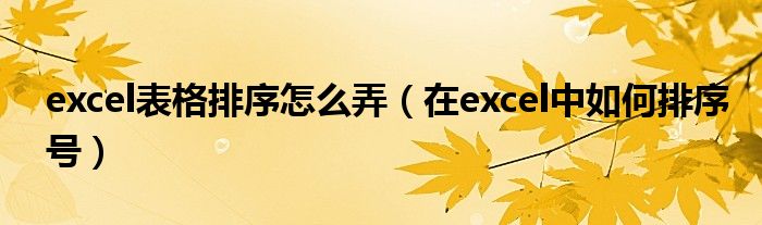 excel表格排序怎么弄（在excel中如何排序号）