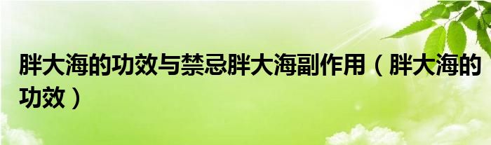 胖大海的功效与禁忌胖大海副作用（胖大海的功效）