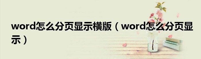 word怎么分页显示横版（word怎么分页显示）