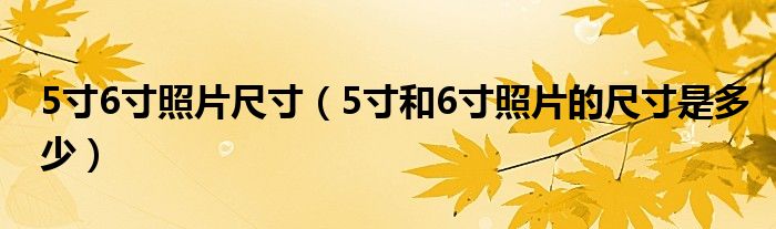 5寸6寸照片尺寸（5寸和6寸照片的尺寸是多少）