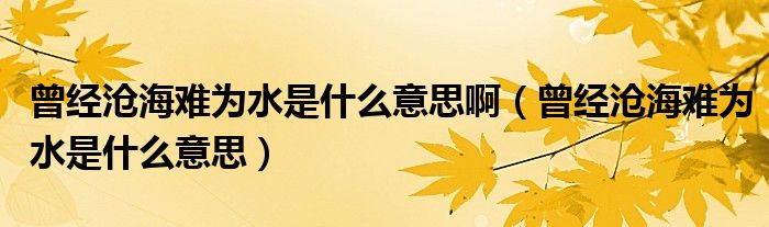 曾经沧海难为水是什么意思啊（曾经沧海难为水是什么意思）
