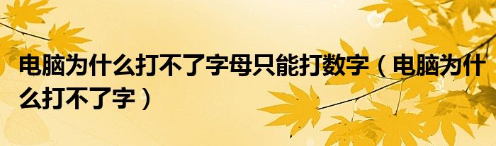 电脑为什么打不了字母只能打数字（电脑为什么打不了字）