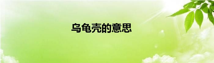 乌龟壳的意思