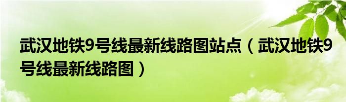 武汉地铁9号线最新线路图站点（武汉地铁9号线最新线路图）