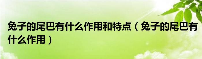 兔子的尾巴有什么作用和特点（兔子的尾巴有什么作用）