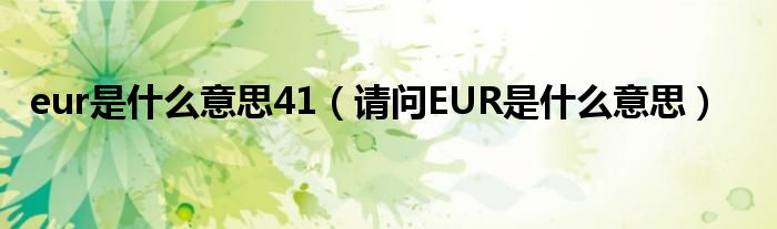 eur是什么意思41（请问EUR是什么意思）