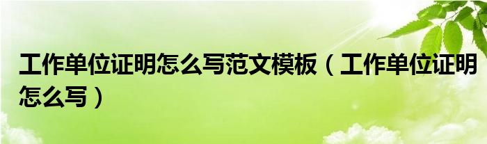 工作单位证明怎么写范文模板（工作单位证明怎么写）