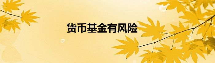 货币基金有风险
