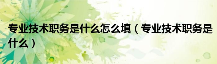 专业技术职务是什么怎么填（专业技术职务是什么）