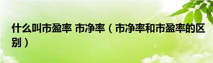 什么叫市盈率 市净率（市净率和市盈率的区别）