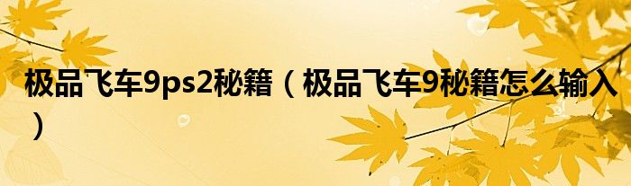 极品飞车9ps2秘籍（极品飞车9秘籍怎么输入）