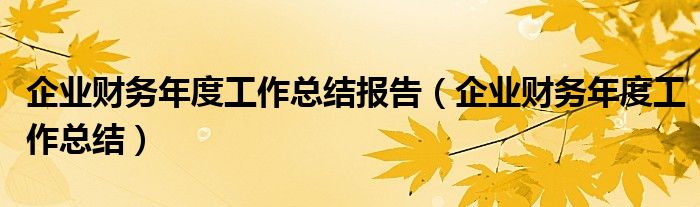 企业财务年度工作总结报告（企业财务年度工作总结）