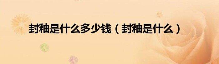 封釉是什么多少钱（封釉是什么）