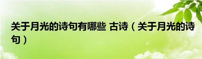 关于月光的诗句有哪些 古诗（关于月光的诗句）