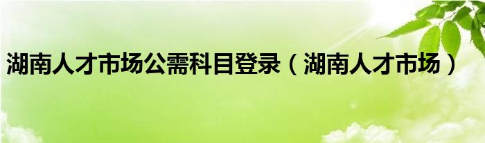 湖南人才市场公需科目登录（湖南人才市场）