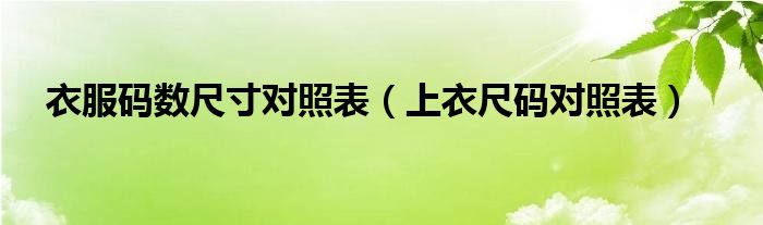 衣服码数尺寸对照表（上衣尺码对照表）