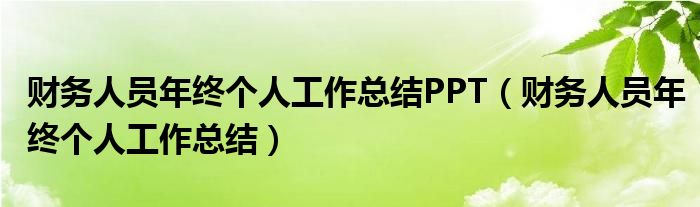 财务人员年终个人工作总结PPT（财务人员年终个人工作总结）