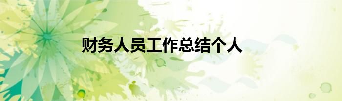 财务人员工作总结个人