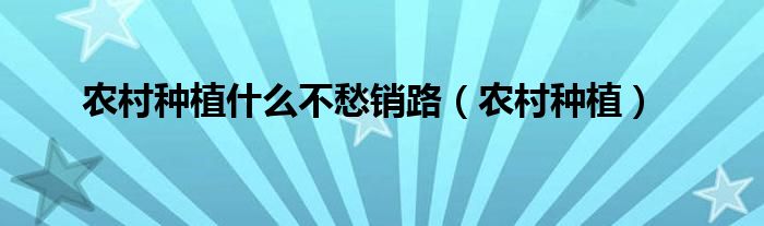 农村种植什么不愁销路（农村种植）