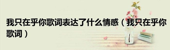 我只在乎你歌词表达了什么情感（我只在乎你歌词）