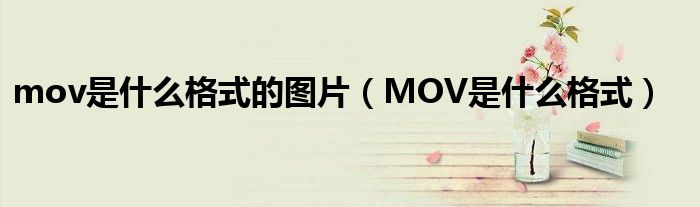 mov是什么格式的图片（MOV是什么格式）