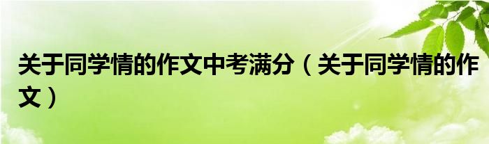 关于同学情的作文中考满分（关于同学情的作文）