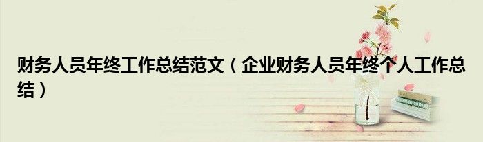 财务人员年终工作总结范文（企业财务人员年终个人工作总结）